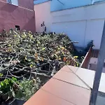 Canarian House La Florida, Orotava Appartement *