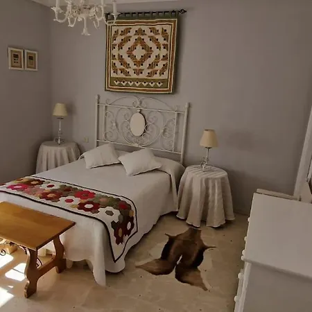 Canarian House La Florida, Orotava * لا أوروتافا
