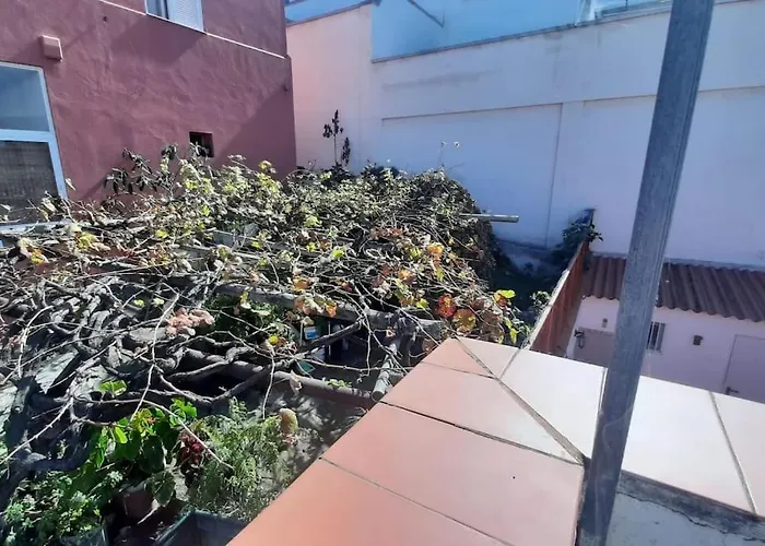 Canarian House La Florida, Orotava Lägenhet *